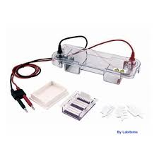 horizontal electrophoresis