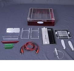 multi purpose electrophoresis