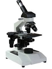 inclined microscope