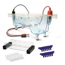 electrophoresis